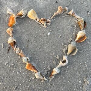 Meet your Posher, Sophie